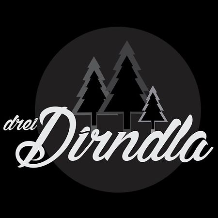 Appartement Drei Dirndla à Schladming Extérieur photo